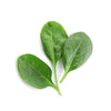 Spinach Baby Leaf Seeds
